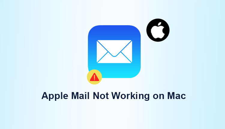 Is Apple Mail Not Working on Mac? Top 7 Tips to Fix the Error